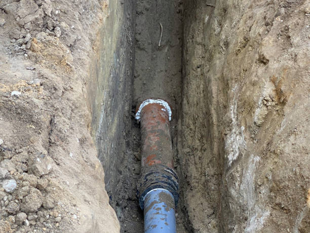 Best 24/7 water damage repair  in Lorenz Park, NY