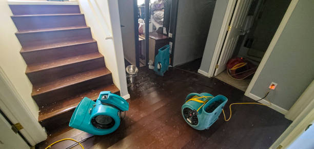 Best Water damage restoration services  in Lorenz Park, NY