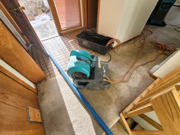 Best Commercial water damage restoration  in Lorenz Park, NY