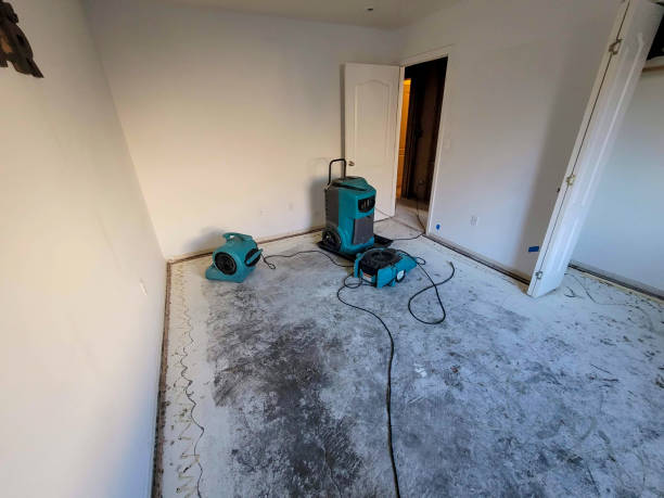 Best Water damage contractors near me  in Lorenz Park, NY