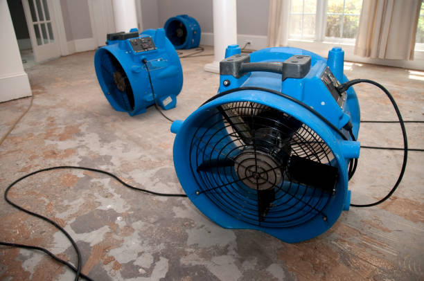 Best Water damage restoration insurance claims  in Lorenz Park, NY