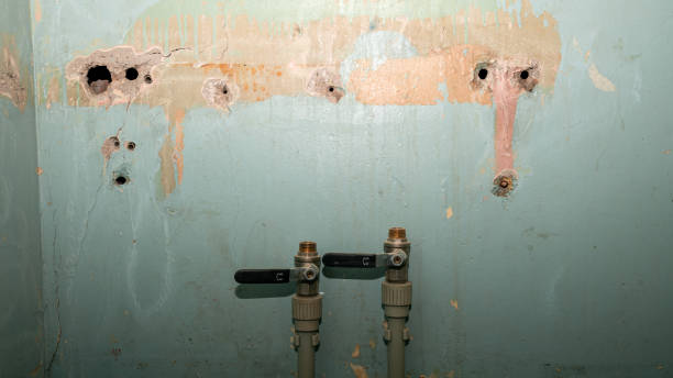 Best Basement water damage restoration  in Lorenz Park, NY