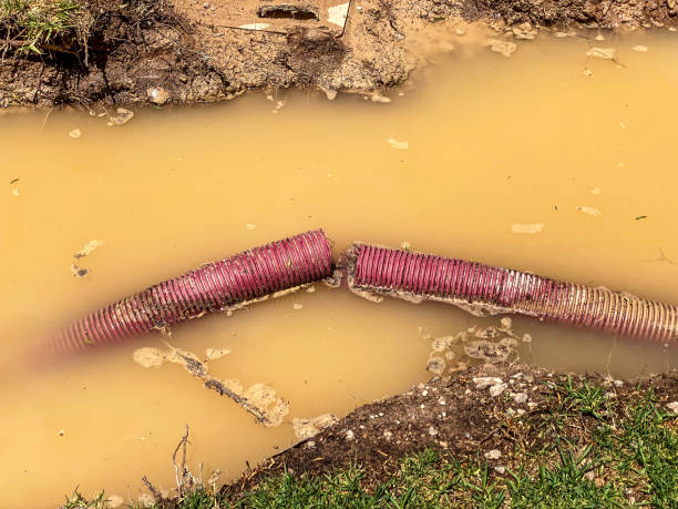 Best Local water damage restoration  in Lorenz Park, NY