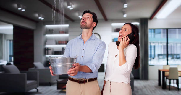 Best Water damage restoration near me  in Lorenz Park, NY