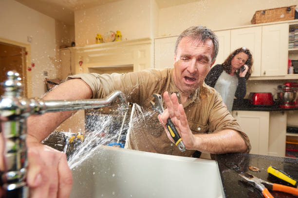 Best Water damage restoration mold remediation  in Lorenz Park, NY